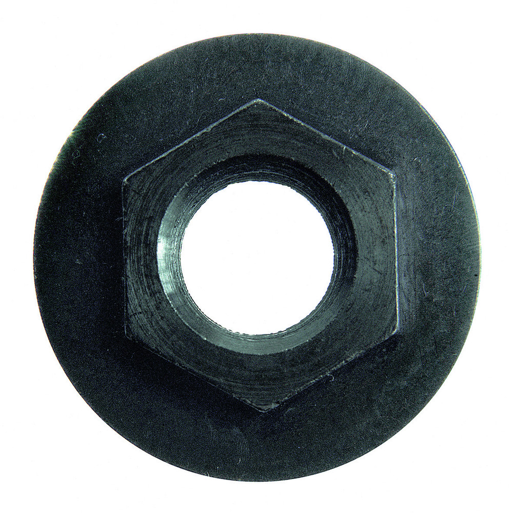 Magma: Universalmutter: SEI-KA00-NUT